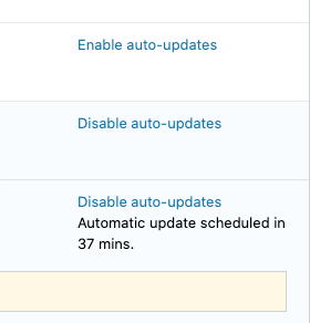 automatic WordPress plugin update status