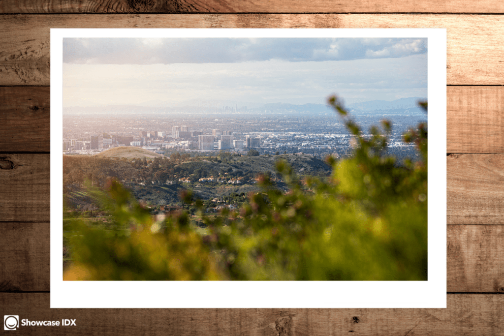 How to add IDX for Elko County BOR MLS to your website 